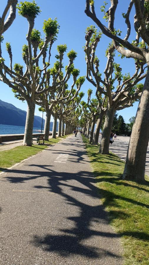 Studio Meuble Au Rdc , Proche Lac Aix-les-Bains Bagian luar foto