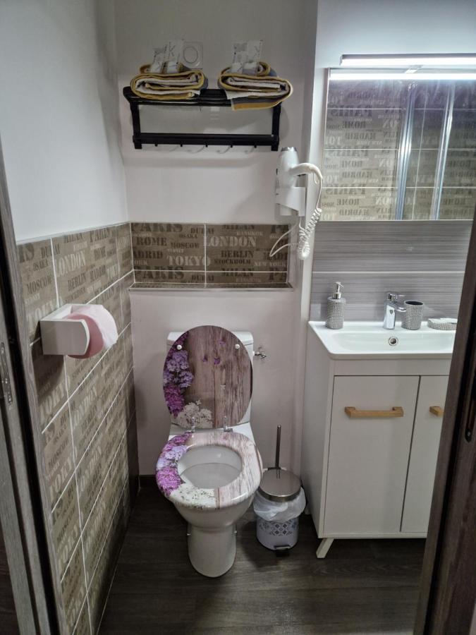 Studio Meuble Au Rdc , Proche Lac Aix-les-Bains Bagian luar foto